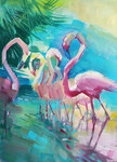 Flamants roses